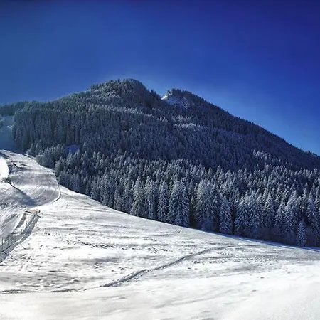 Gaestehaus Kerpf Inclusive Koenigscard 3* Nesselwang